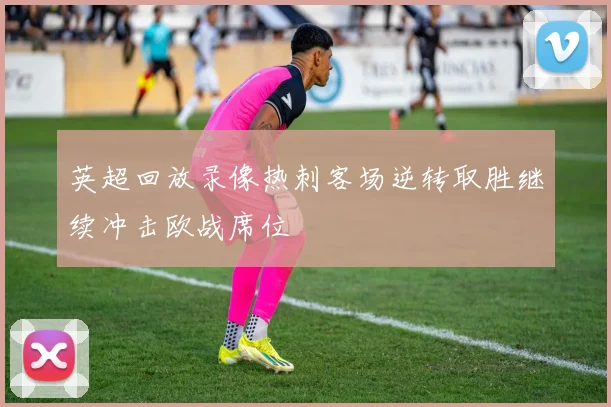 英超回放录像热刺客场逆转取胜继续冲击欧战席位