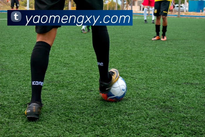 米兰米兰体育官网登录入口平台生态图